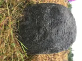 Захоронение ID 620664