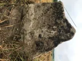 Захоронение ID 620669