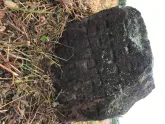 Захоронение ID 620675