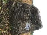 Захоронение ID 620679