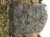 Захоронение ID 620683