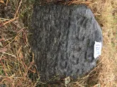 Захоронение ID 620692