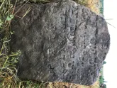 Захоронение ID 620707