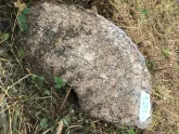 Захоронение ID 620911