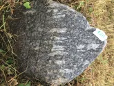 Захоронение ID 620926