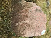 Захоронение ID 620927