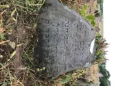 Захоронение ID 620942