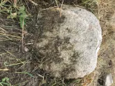 Захоронение ID 620952