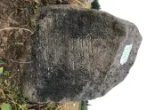 Захоронение ID 620956