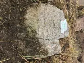 Захоронение ID 620957