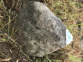 Захоронение ID 620962