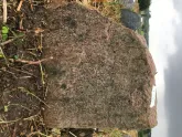Захоронение ID 620970
