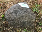 Захоронение ID 620971