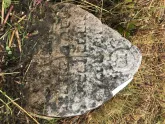 Захоронение ID 620975