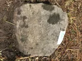 Захоронение ID 620994