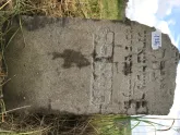 Захоронение ID 621003