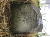 Захоронение ID 621007