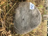 Захоронение ID 621011