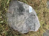 Захоронение ID 621026