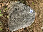 Захоронение ID 621037