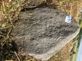 Захоронение ID 621039