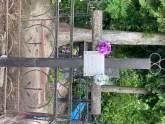 Захоронение ID 610545