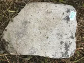 Захоронение ID 621087