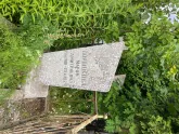 Захоронение ID 610546