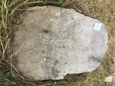Захоронение ID 621117