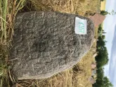 Захоронение ID 621127