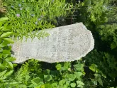 Захоронение ID 610560