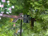 Захоронение ID 610538