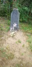 Захоронение ID 925513