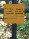 Захоронение ID 826073