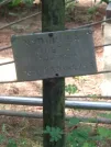Захоронение ID 826146