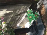 Захоронение ID 966590