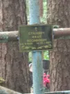 Захоронение ID 1094372