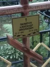 Захоронение ID 1139138