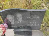 Захоронение ID 1250012