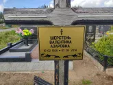 Захоронение ID 1250100