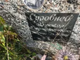 Захоронение ID 1250138