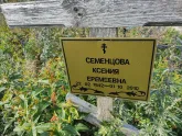 Захоронение ID 1250293