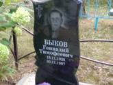 Захоронение ID 1251263