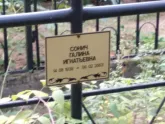 Захоронение ID 1251931