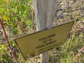 Захоронение ID 1251133