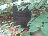 Захоронение ID 1250666