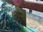 Захоронение ID 1250791
