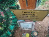 Захоронение ID 1251366