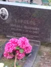 Захоронение ID 1252306