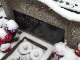 Захоронение ID 1252686
